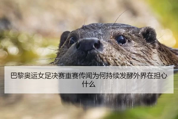 巴黎奥运女足决赛重赛传闻为何持续发酵外界在担心什么